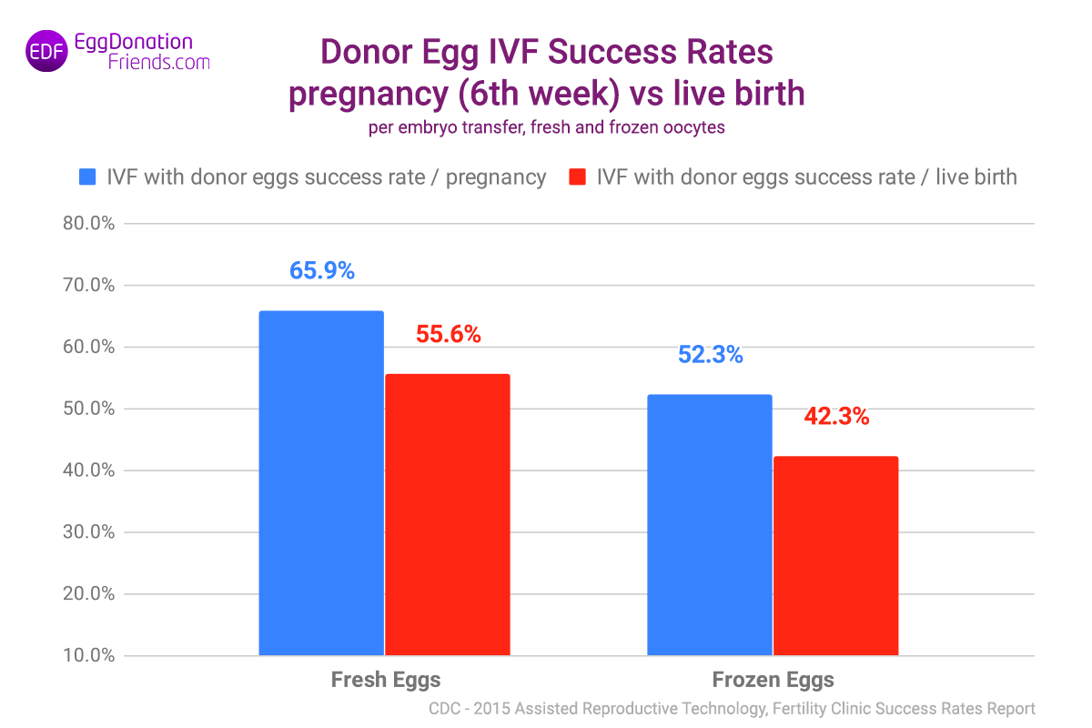 Erfolgsraten bei IVF mit Spendereizellen